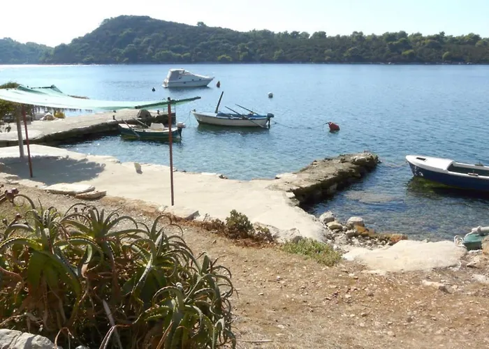 A1 - Near With Terrace And The Sea View Blato (Korcula)