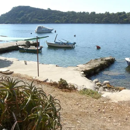 A1 - Near With Terrace And The Sea View Blato (Korcula)